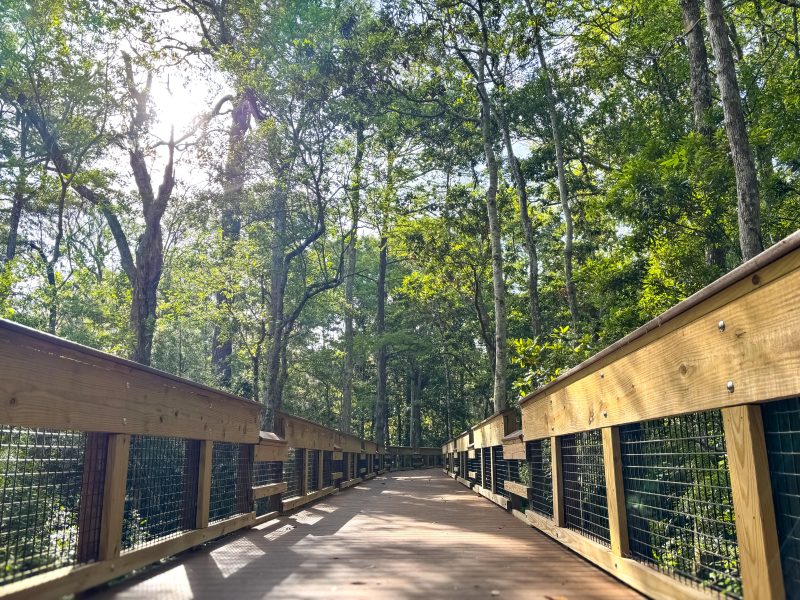 Eden Gardens Bridge
