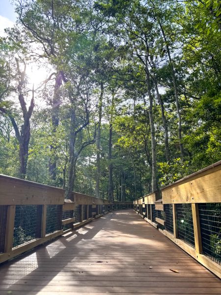 Eden Gardens Bridge
