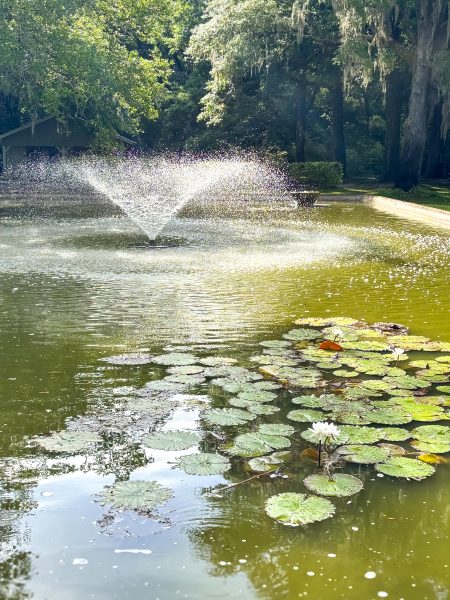 Eden Gardens Fountain