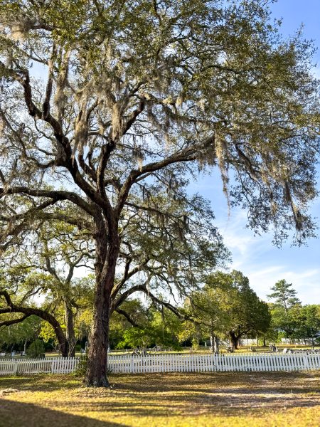Historic Cemetary at Lifehouse Church